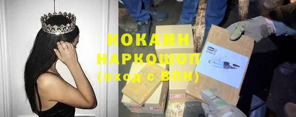 прущие грибы Балахна