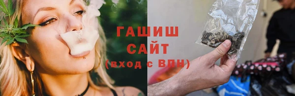 прущие грибы Балахна