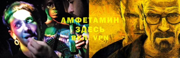 прущие грибы Балахна