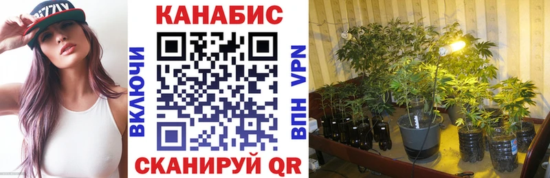 Бошки марихуана семена  Калининец 